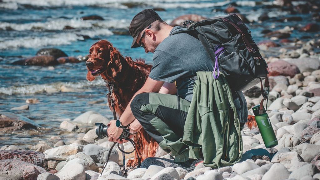 Hiking With Dogs