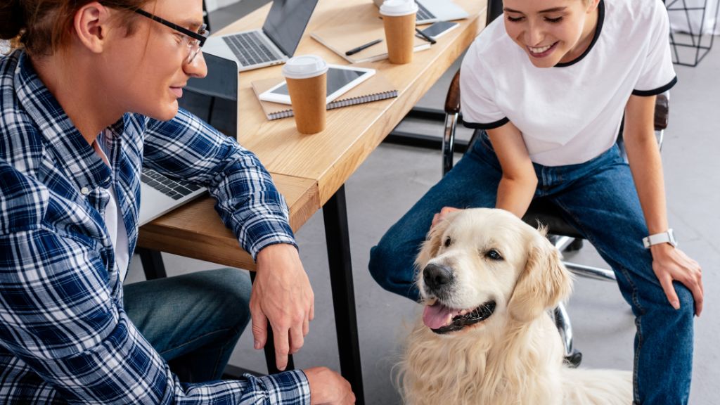 14 Dog Friendly Jobs That Let You Take Your Furry Pal To Work Advice   Take Your Dog To Work 