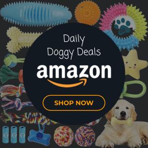 Amazon Dog Products