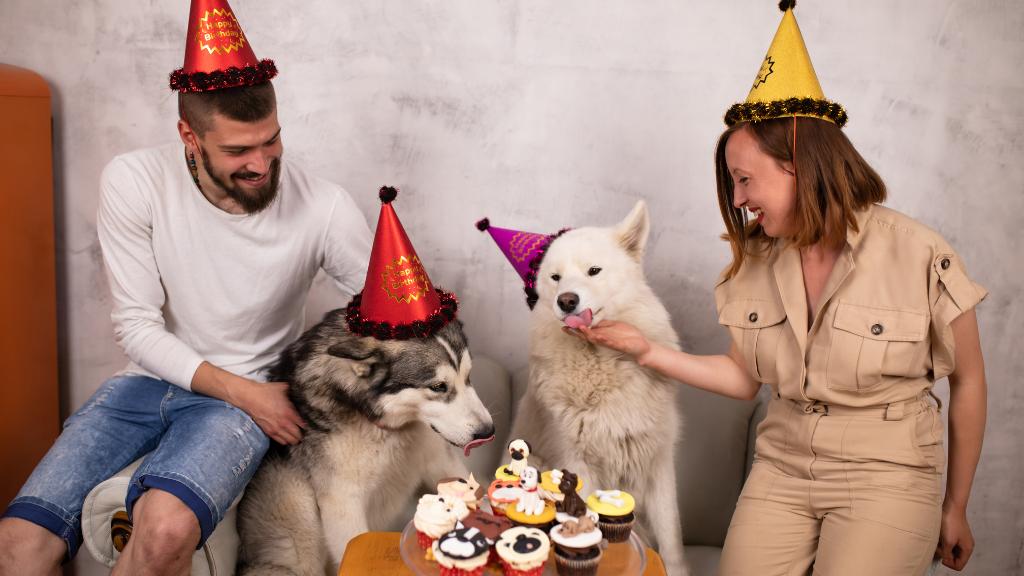 Dogs Birthday Party Ideas